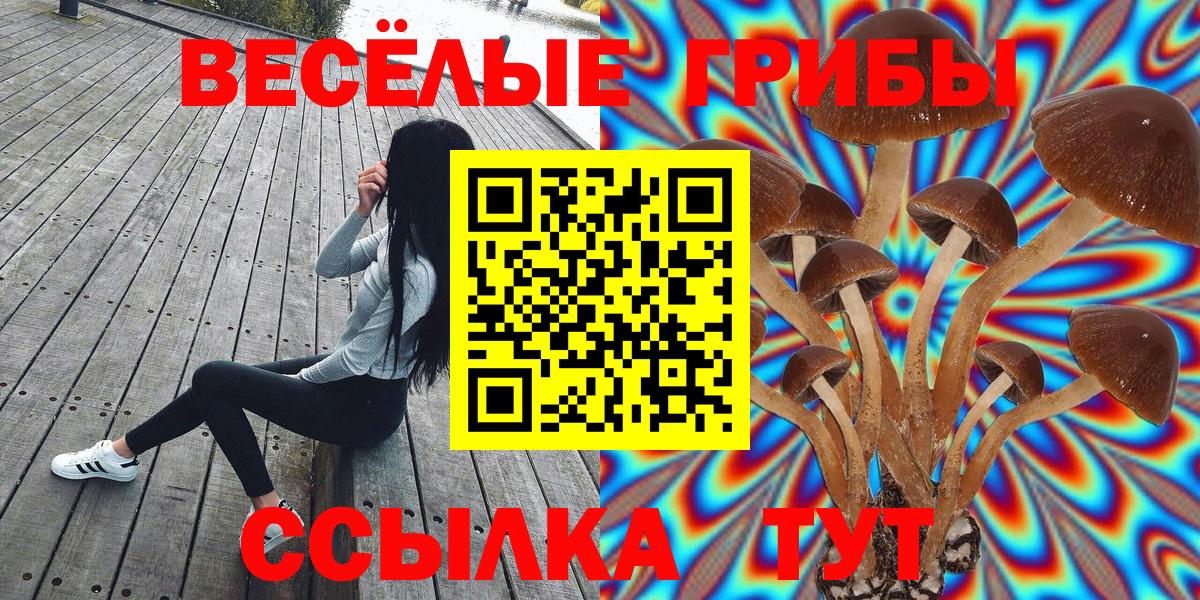 Галлюциногенные грибы MAGIC MUSHROOMS Назарово